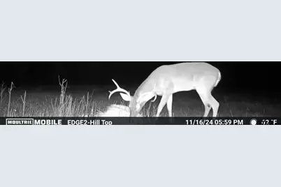 000 Avinger Cutoff Road, Avinger, TX 75630 - Photo 47