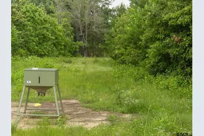 000 Avinger Cutoff Road, Avinger, TX 75630 - Photo 45