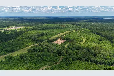 000 Avinger Cutoff Road, Avinger, TX 75630 - Photo 5
