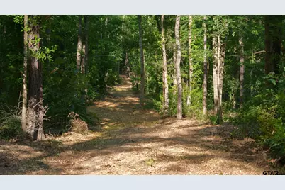 22924 Cr 223, Arp, TX 75750 - Photo 11