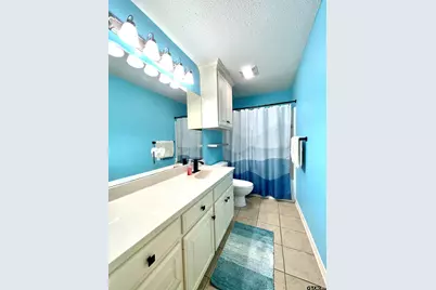 11802 County Road 167, Tyler, TX 75703 - Photo 13