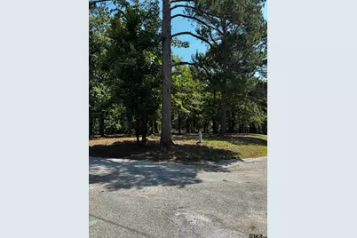 21047 Virginia Rd, Flint, TX 75762 - Photo 3