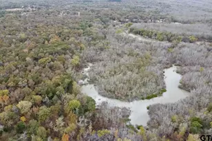 15308 W Fm 321, Tennessee Colony, TX 75861 - Photo 21