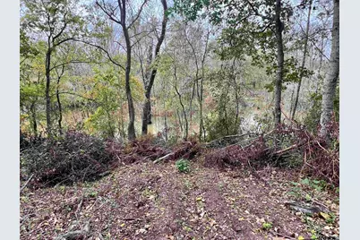 15308 W Fm 321, Tennessee Colony, TX 75861 - Photo 19
