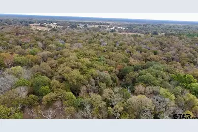 15308 W Fm 321, Tennessee Colony, TX 75861 - Photo 3