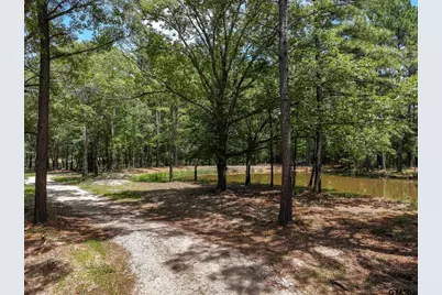Tbd Pvt. Rd 8079, Ben Wheeler, TX 75754 - Photo 15