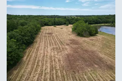 Tbd Cr 3371, Saltillo, TX 75478 - Photo 11