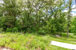 2528 Barrett Ct, Tyler, TX 75703 - Photo 1