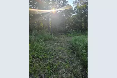 11839 Fm 344, Whitehouse, TX 75791 - Photo 17