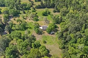 1707 Co Rd 4101, Jacksonville, TX 75766 - Photo 31