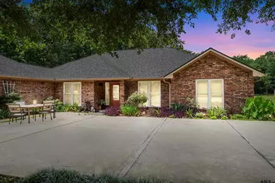 20 County Road 2938 South, Pittsburg, TX 75686 - Photo 1