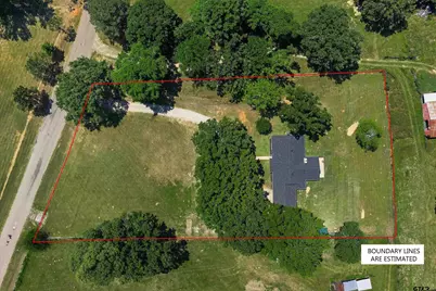 11162 County Road 233, Arp, TX 75750 - Photo 3