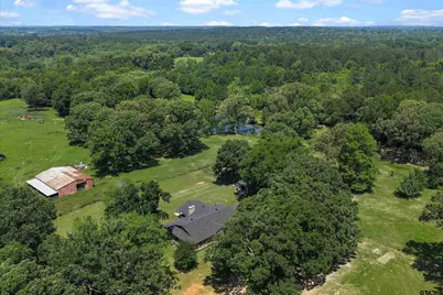 11162 County Road 233, Arp, TX 75750 - Photo 5