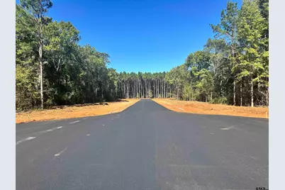 Lot 123 & 124 Oak River, Frankston, TX 75763 - Photo 9