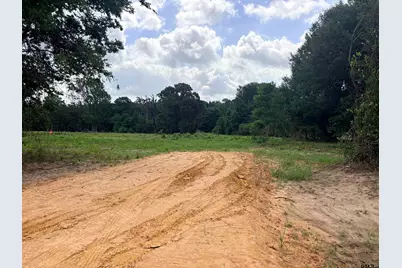 10268 N Fm 607, Brownsboro, TX 75756 - Photo 1