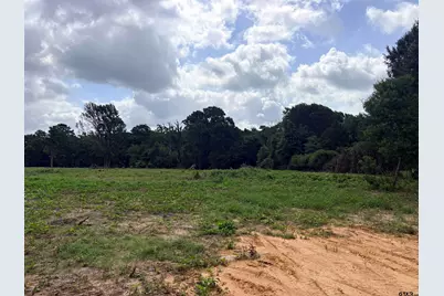 10268 N Fm 607, Brownsboro, TX 75756 - Photo 11