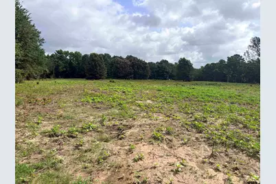 10268 N Fm 607, Brownsboro, TX 75756 - Photo 5