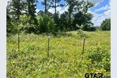 Fm323, Palestine, TX 75801 - Photo 3