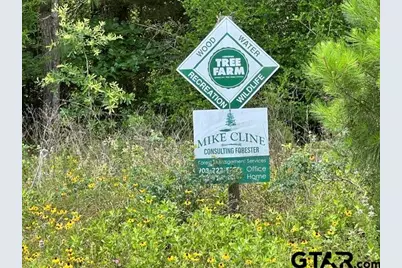 Fm323, Palestine, TX 75801 - Photo 5