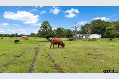460 County Road 4612, Troup, TX 75789 - Photo 37