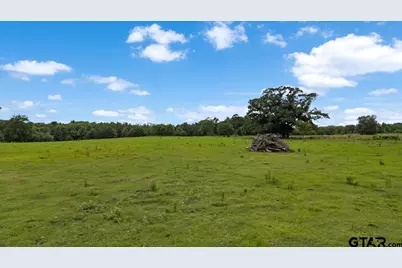 460 County Road 4612, Troup, TX 75789 - Photo 29
