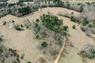1425 State Hwy 300, Gilmer, TX 75645 - Photo 1