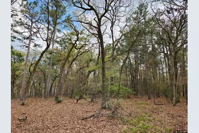 3281 Shadow Pine Dr (Lot 64 & L5), LaRue, TX 75770 - Photo 7