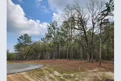 3281 Shadow Pine Dr (Lot 64 & L5), LaRue, TX 75770 - Photo 3