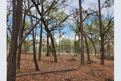 3281 Shadow Pine Dr (Lot 64 & L5), LaRue, TX 75770 - Photo 11