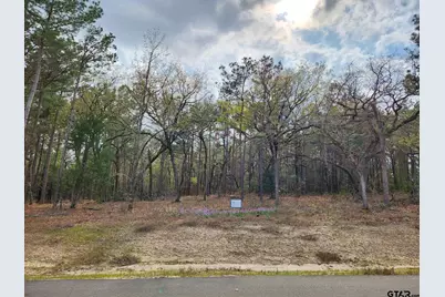 3281 Shadow Pine Dr (Lot 64 & L5), LaRue, TX 75770 - Photo 5