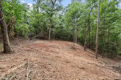 23487 Canyon Drive, Bullard, TX 75757 - Photo 13
