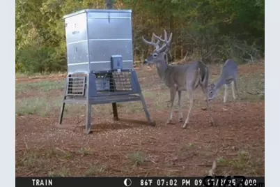 16092 County Road 440, Lindale, TX 75771 - Photo 27