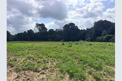 10268 N Fm 607, Brownsboro, TX 75756 - Photo 3