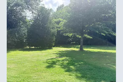 201 County Road 3821, Troup, TX 75789 - Photo 19