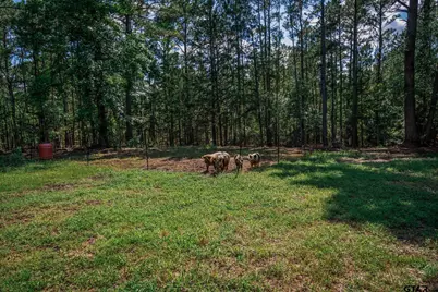 5230 Fm 1404, Gilmer, TX 75645 - Photo 3