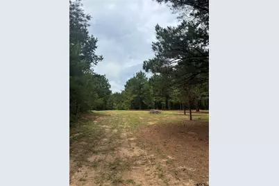 23655 Cr 244, Overton, TX 75684 - Photo 15