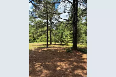 23655 Cr 244, Overton, TX 75684 - Photo 9