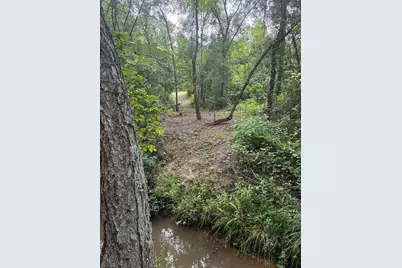 23655 Cr 244, Overton, TX 75684 - Photo 3