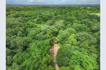 950 Vz County Road 1919, Fruitvale, TX 75127 - Photo 13