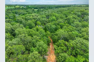 950 Vz County Road 1919, Fruitvale, TX 75127 - Photo 3