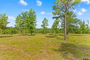 Tbd County Road 4112 Lot 3, Lindale, TX 75771 - Photo 1