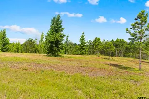 Tbd County Road 4112 Lot 5, Lindale, TX 75771 - Photo 1