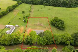 805 FM 856, Troup, TX 75789 - Photo 3