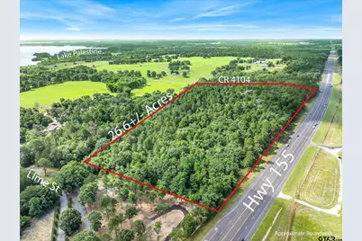 0 Hwy 155, Frankston, TX 75763 - Photo 3