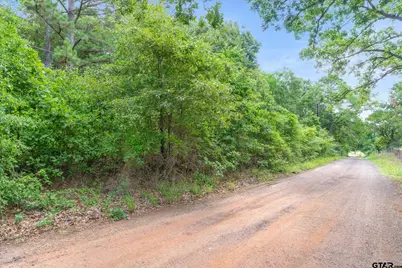 0 Hwy 155, Frankston, TX 75763 - Photo 9