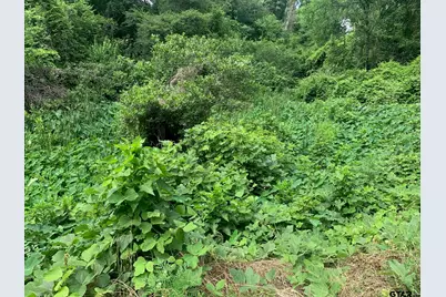 153 E Fairway Drive, Hideaway, TX 75771 - Photo 1