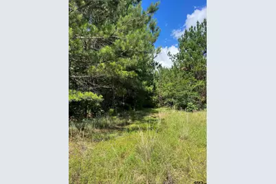 Tbd S Cr 218D, Henderson, TX 75652 - Photo 5