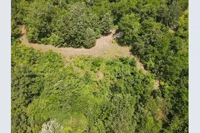 Tbd 35+/- Ac Vz County Road 4814, Ben Wheeler, TX 75754 - Photo 5