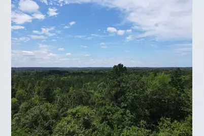 Tbd 35+/- Ac Vz County Road 4814, Ben Wheeler, TX 75754 - Photo 7