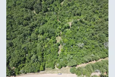 Tbd 35+/- Ac Vz County Road 4814, Ben Wheeler, TX 75754 - Photo 3